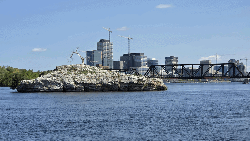 Family Protected by Travel Insurance