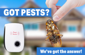 Are you ready to live in a 100% pest-free home